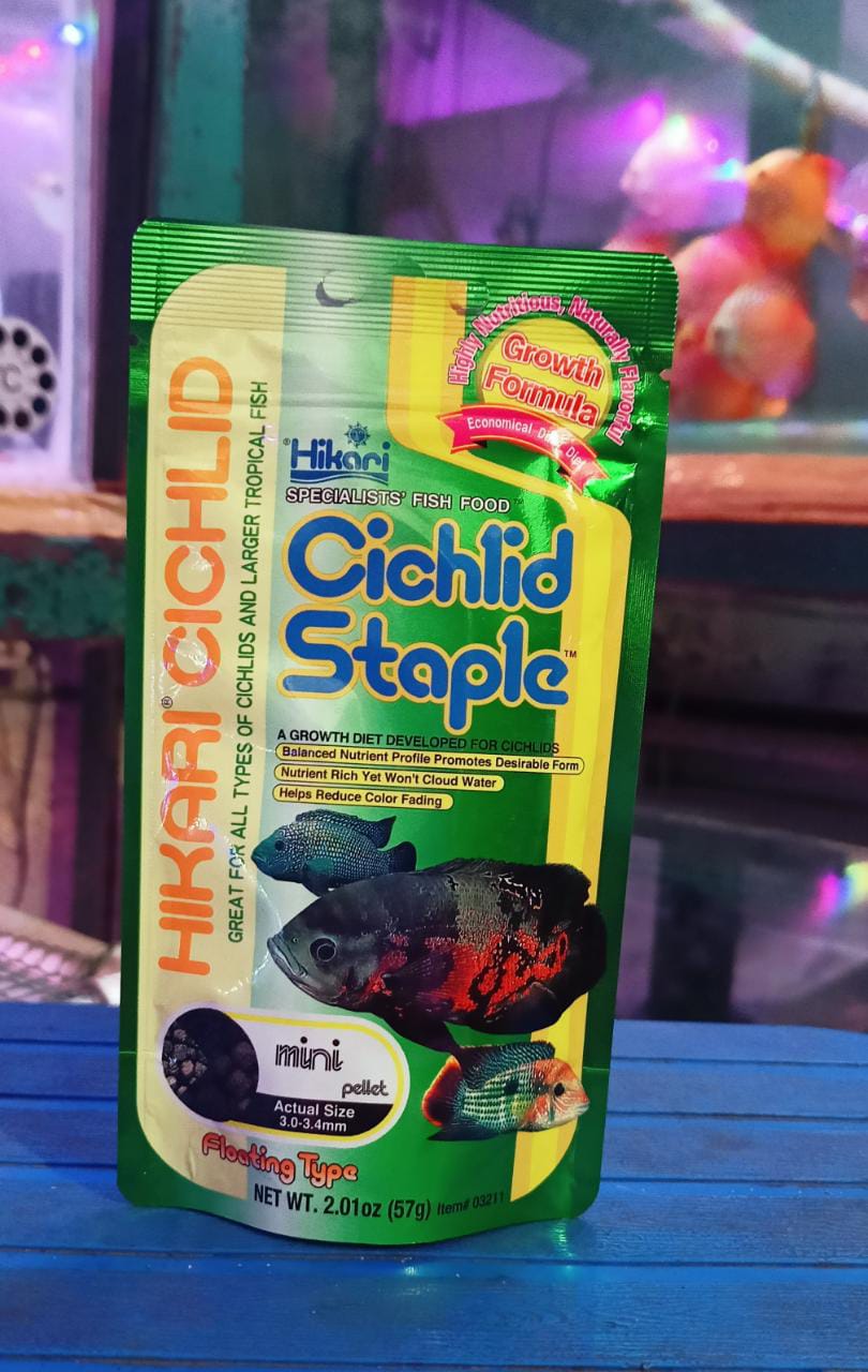 CICHILD STAPLE